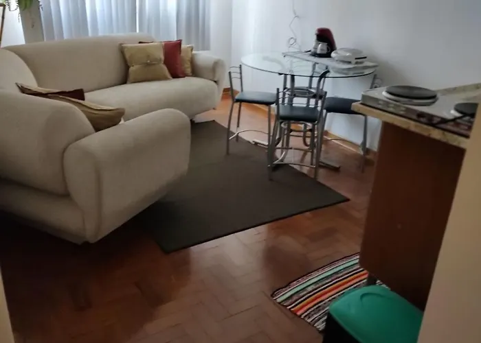 Apartamento 2 Dormitorios, Wifi, Ponta Da Praia, Predio Em Frente Ao Mar - Santos